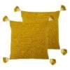 Furn. 2 Pack Eden Filled Cushions