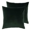 Furn. 2 Pack Aurora Filled Cushions