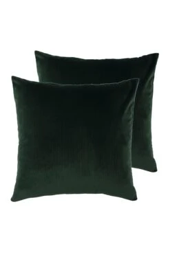 Furn. 2 Pack Aurora Filled Cushions