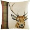 Furn Hunter Cushion